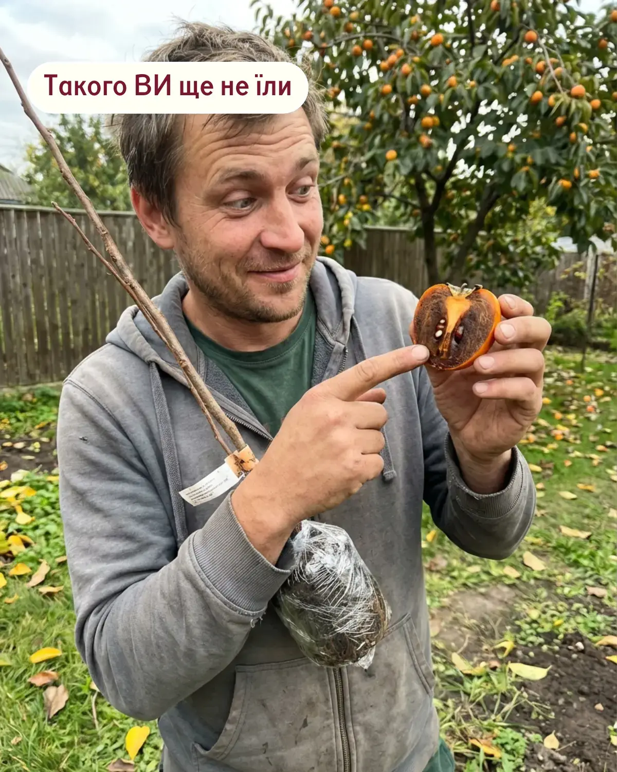 Плоди хурми